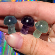 {Green, Blue + Purple} Fluorite Mushrooms