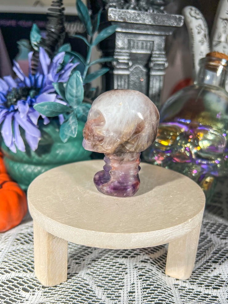 Cheveron Amethyst Skull w/ Neck on Stand