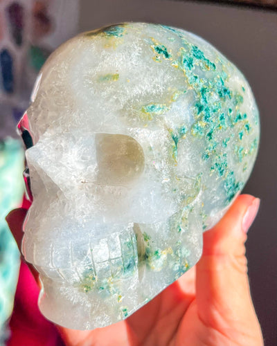 Moss Agate w/ Druzy Quartz Skull - Statement Crystal