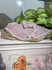 *Athena* XL Amethyst Druzy Statement Specimen