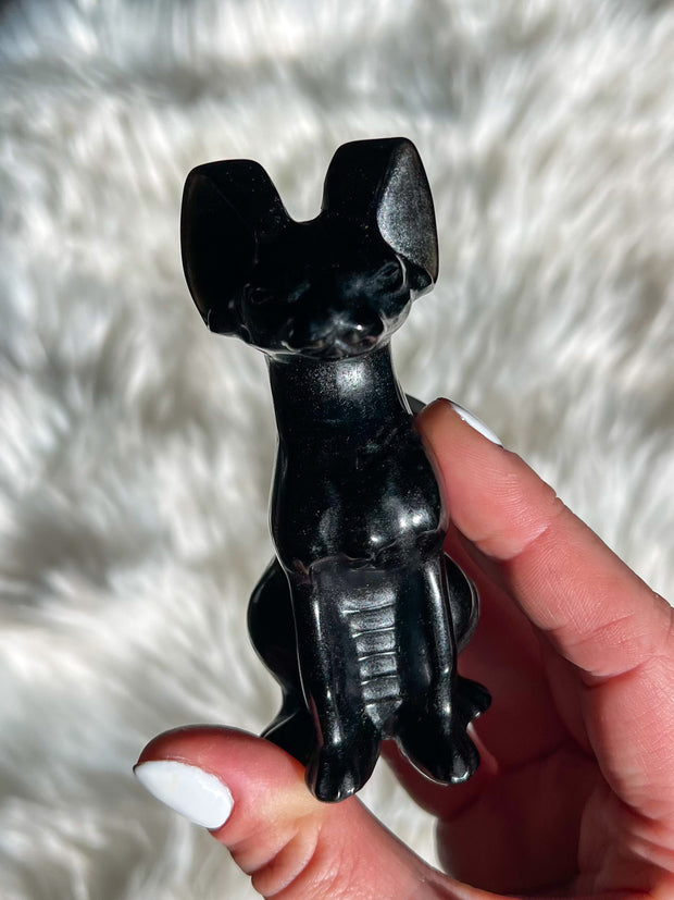 Obsidian Siamese Sitting Cat