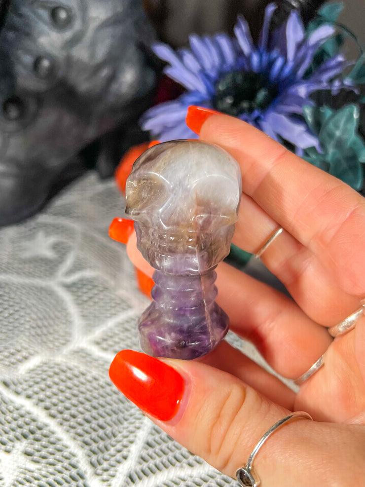 Cheveron Amethyst Skull w/ Neck on Stand