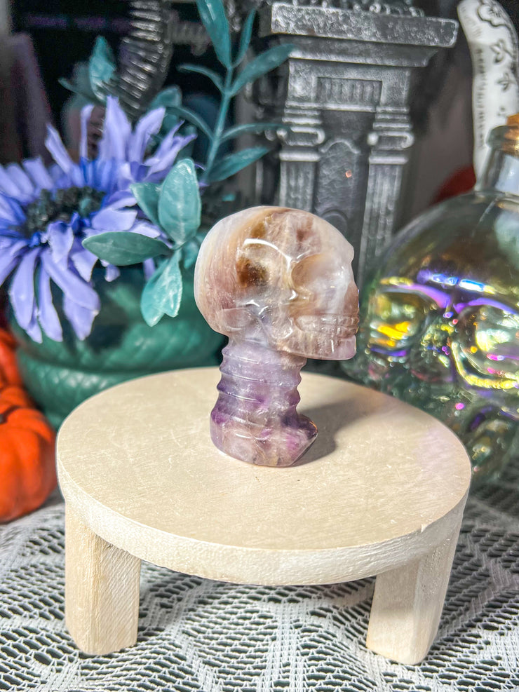 Cheveron Amethyst Skull w/ Neck on Stand