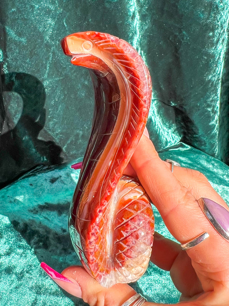 Sardonyx (Carnelian x Quartz) King Cobra Snake Statue