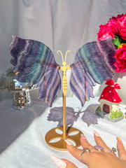 Rainbow Fluorite Butterfly Wings on Gold Stand Statement Statue