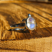 Rainbow Moonstone Sea Turtle 925 Sterling Silver Ring | December Birthstone Unique Jewelry
