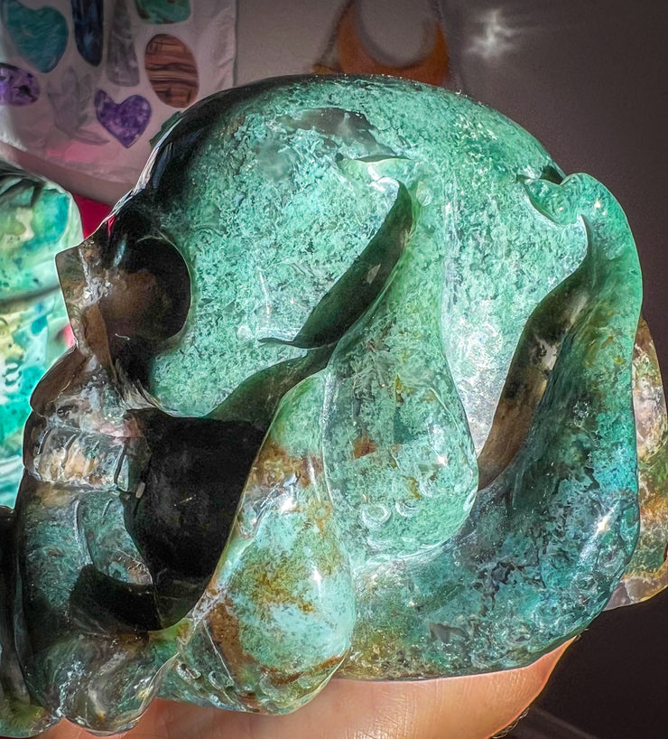 Moss Agate  Agate w/ Druzy Quartz & Banding Octopus | Druzy Sea Monster Unique Gothic |  Skull - Statement Crystal