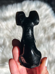 Obsidian Siamese Sitting Cat