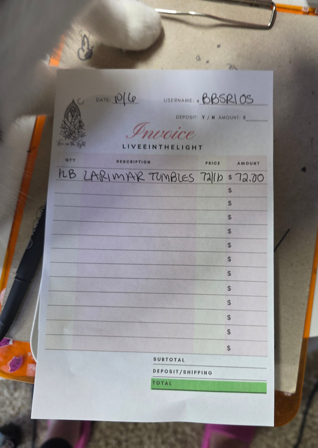 @bbsrios clear out the backstock live sale invoice