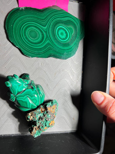 Clearance Last Weekend December Live Sale - @_dancingfrog_