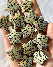 Dalmatian Stone Star