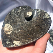 Orthoceras {Fossil Rock} Heart Bowl