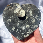 Orthoceras {Fossil Rock} Heart Bowl