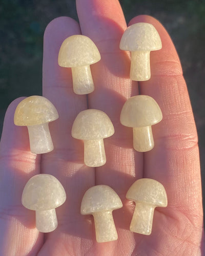 Yellow Quartz {“Citrine Quartz”} Mushrooms