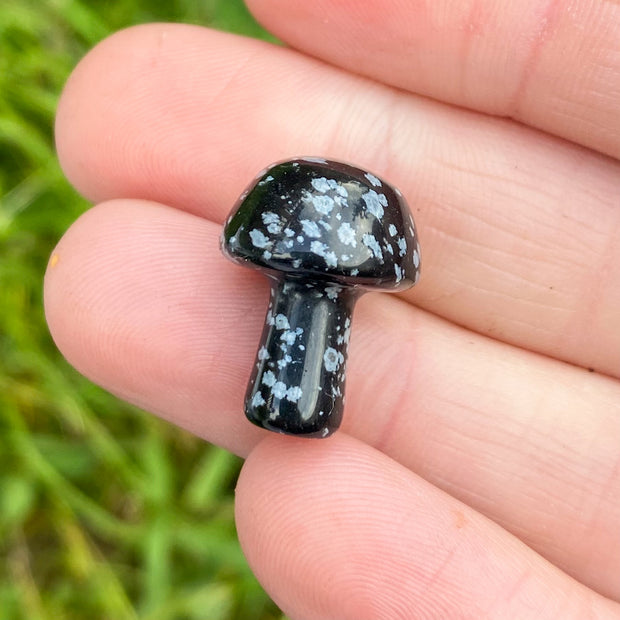 Snowflake Obsidian Mushroom