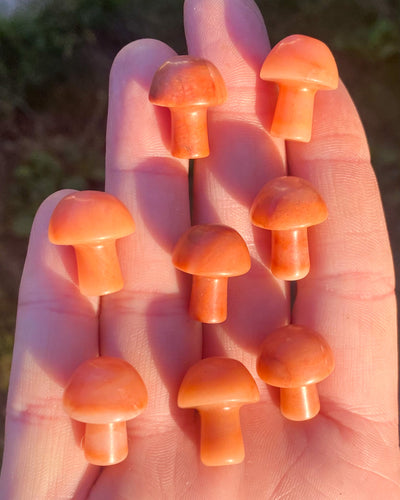 Orange Aventurine Mushroom