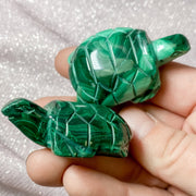 High Quality Malachite Turtle
