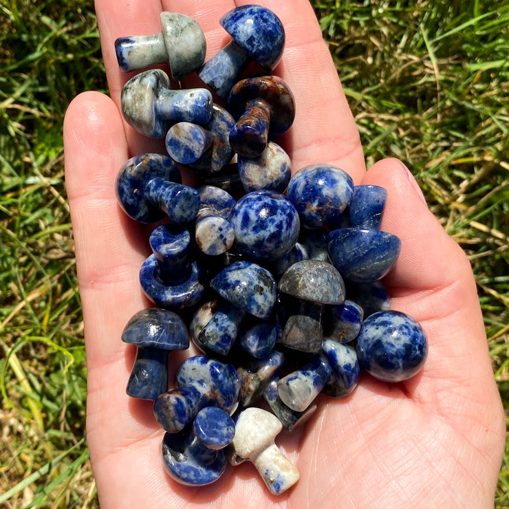 Sodalite Mushrooms