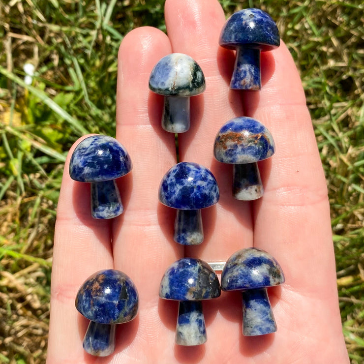 Sodalite Mushrooms