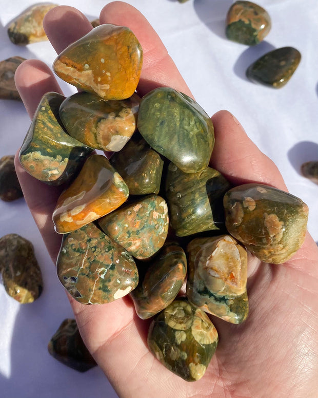 Rhyolite {Rainforest Jasper} Tumbled Stones