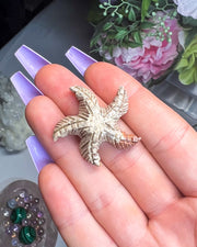 Soapstone Starfish