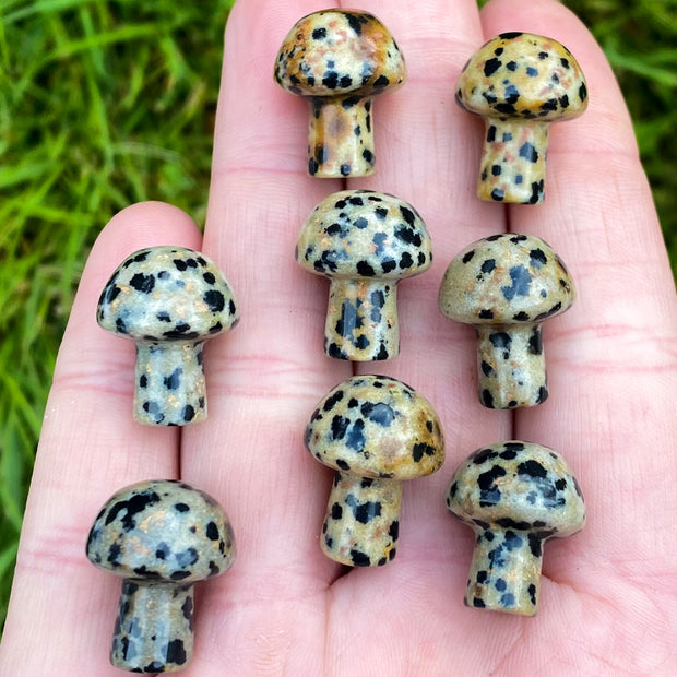 Dalmatian Stone Jasper Mushroom