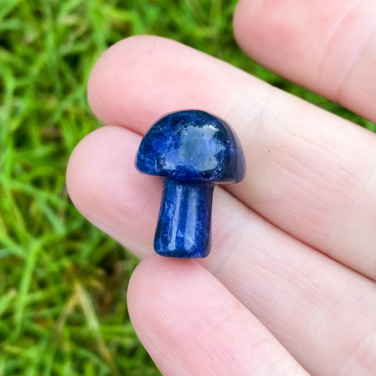 Sodalite Mushrooms