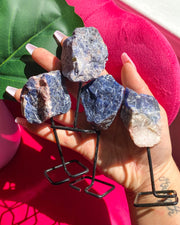 Rough Sodalite on Stand